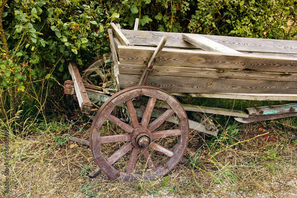 Old cart on the background of bushes