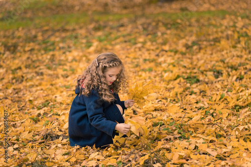 Pretty girl with long curly hair in the autumn park on the background of yellow leaves dancing. Excited cheerful girl drop up leaves  joyful with beautiful autumn colors
