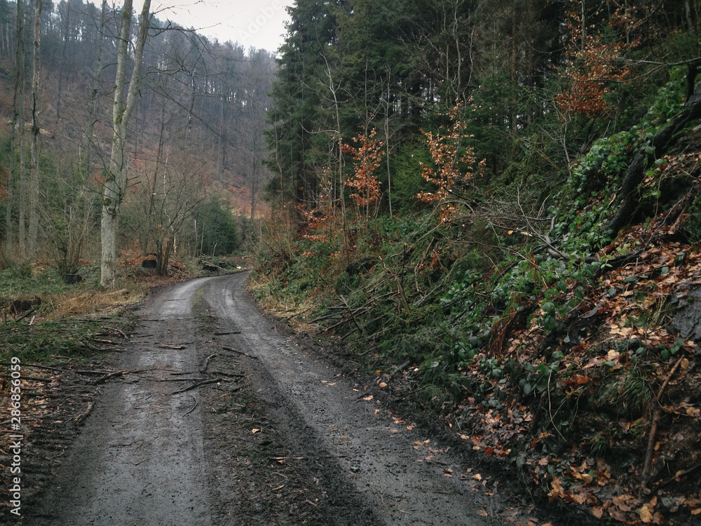 Obraz premium Christmas rides, trying to finish the Festive 500