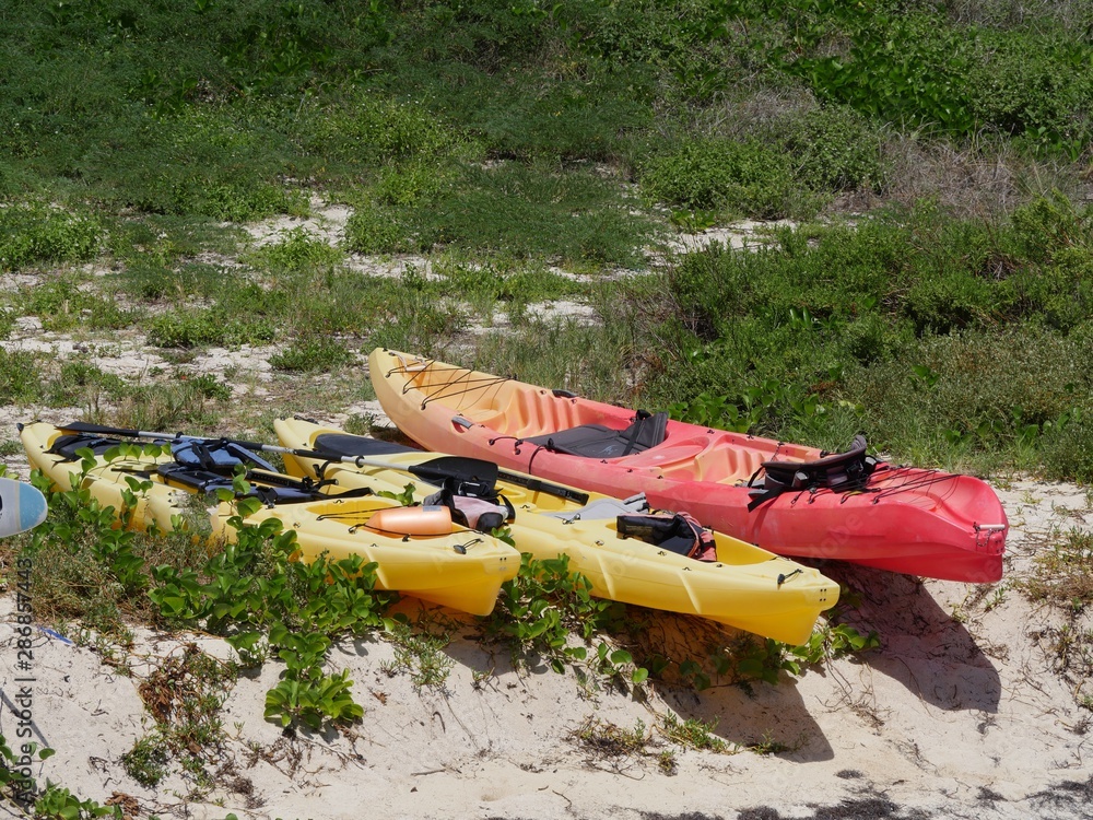 Colorful kayaks lined up on a grassy patch in a beach Colorful kayaks lined up on a grassy patch in a beach