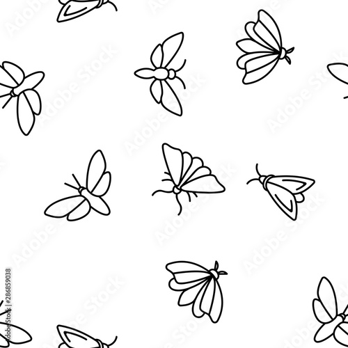 Moth, Insects Entomologist Seamless Pattern Vector Thin Line Illustration