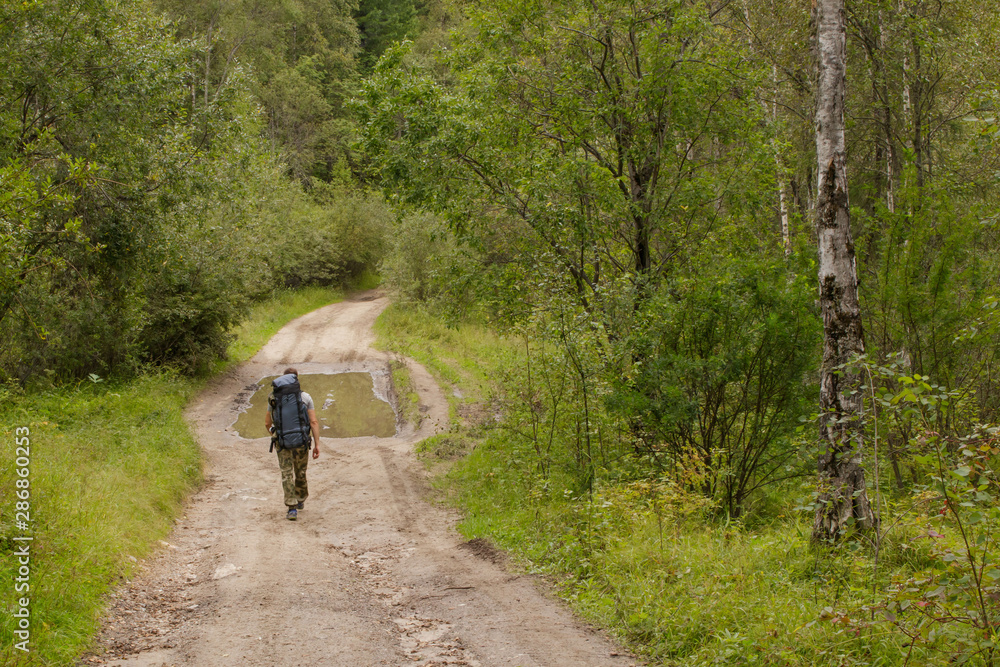 A tourist with a backpack going into the distance along a forest road.