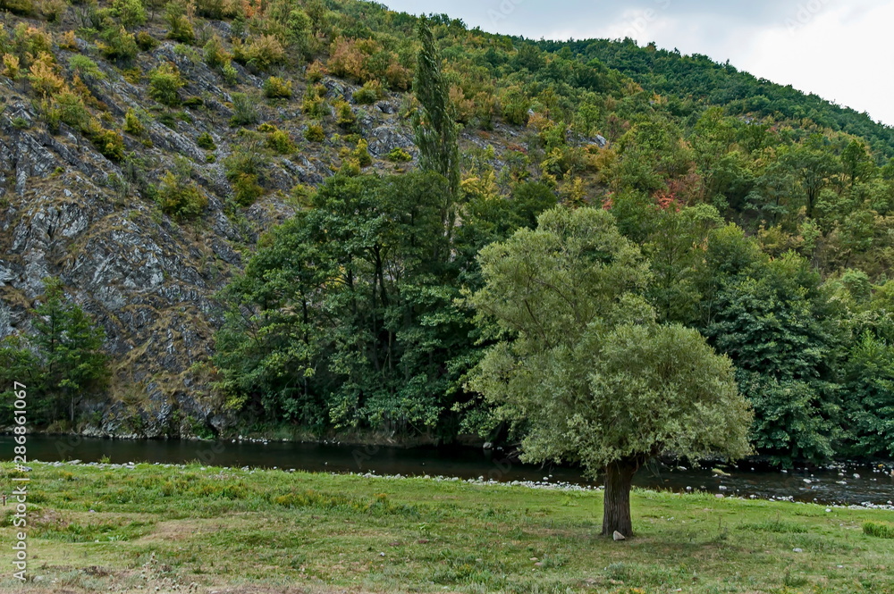 Fototapeta premium Part of the beautiful valley of Topolnitsa River through Sredna Gora Mountain, Bulgaria 