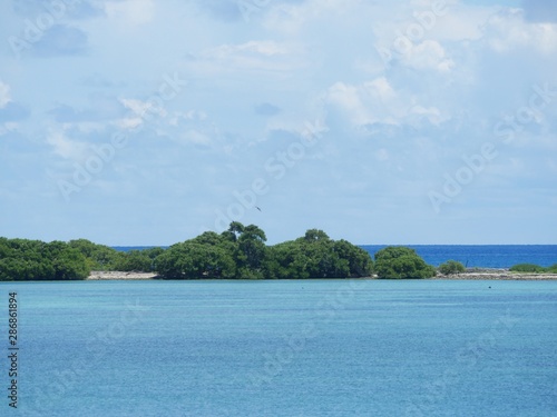 Fototapeta Naklejka Na Ścianę i Meble -  Beautiful island in the Dry Tortugas, Key West.