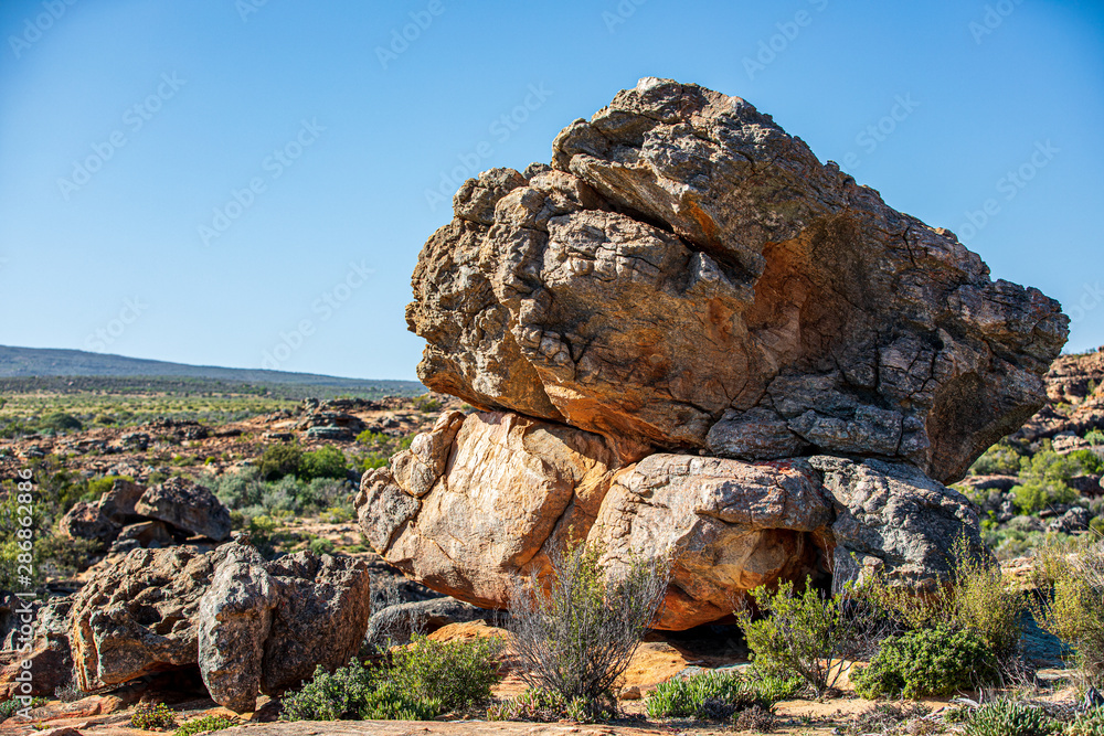 Fototapeta premium Landscape of the Cederberg Mountains, Western Cape