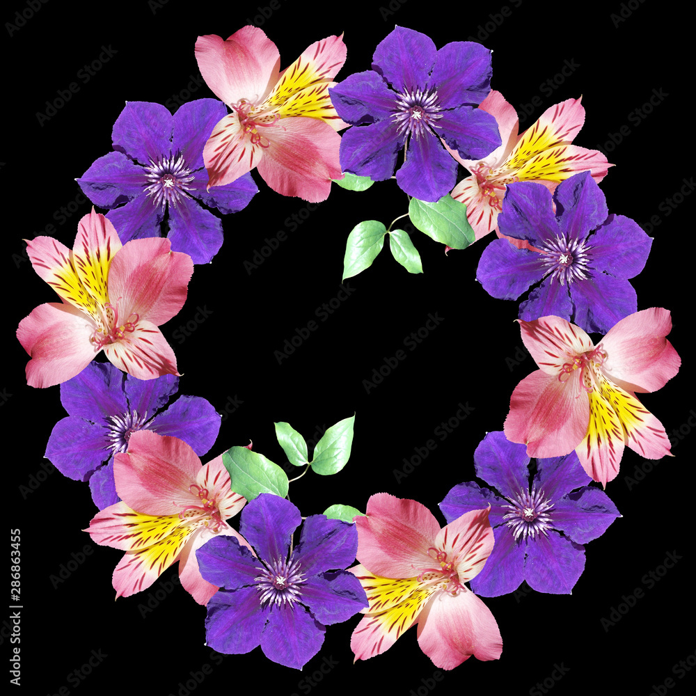 Beautiful floral circle of clematis and alstroemeria. Isolated