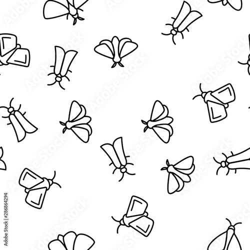 Moth, Insects Entomologist Seamless Pattern Vector Thin Line Illustration