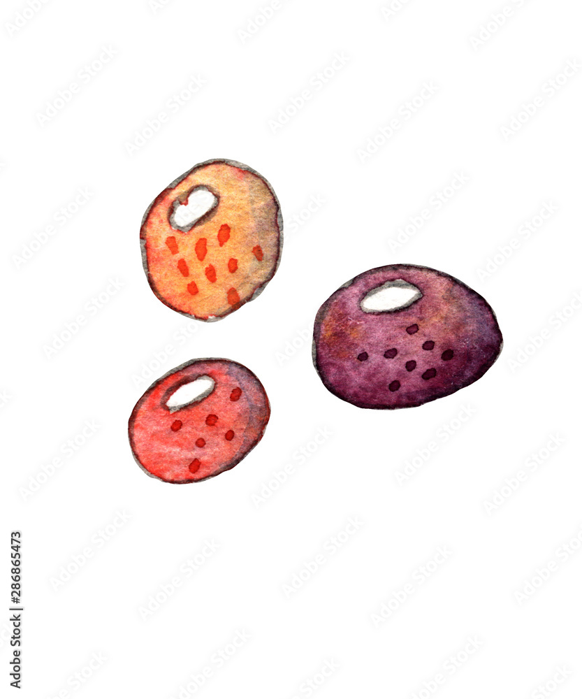 Fototapeta premium Children's watercolor set. Three multi-colored round pebble