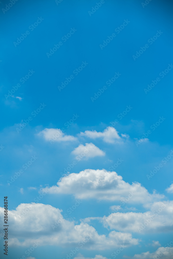 Cloud Cloud