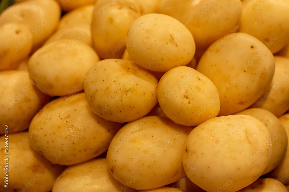 Fresh white potato piled on the market. Food backgroumd. Harvest Fresh white potato piled on the market. Food backgroumd. Harvest