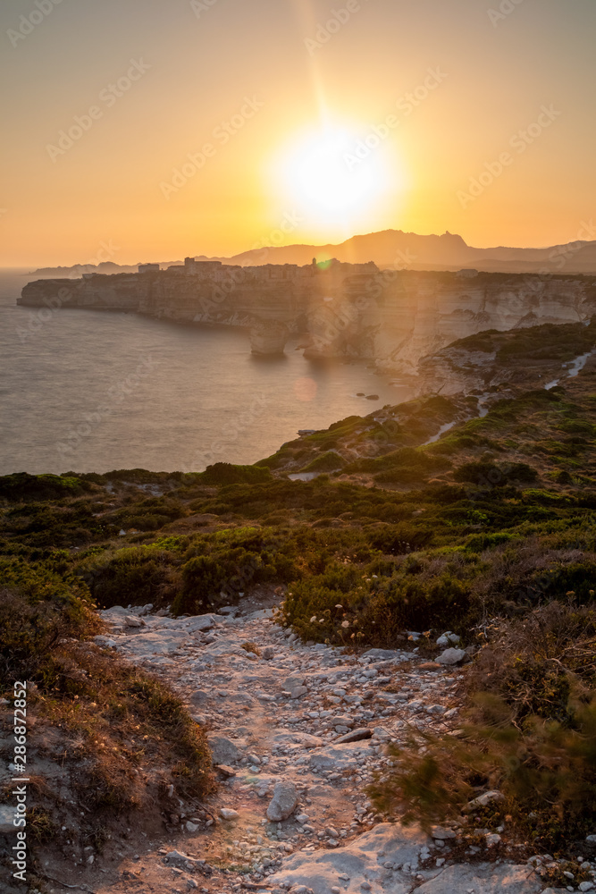 Bonifacio Bonifacio