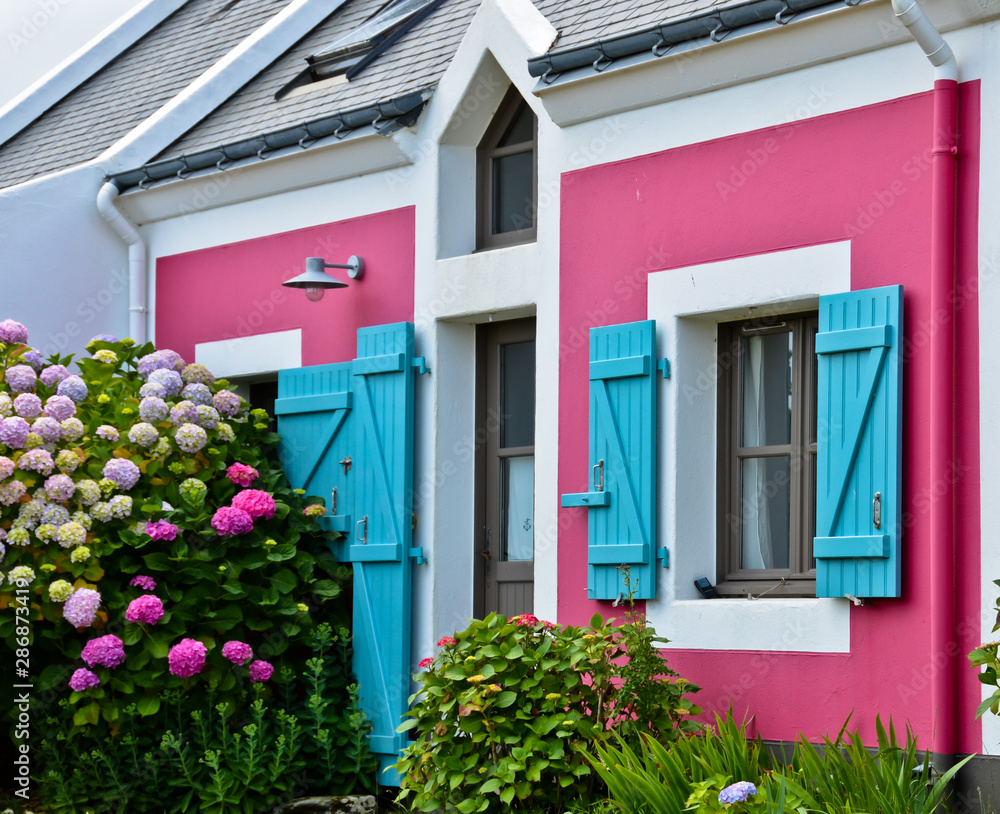 Sonniger Blick auf eine Hausfront mit rosa Wand und leuchtend blauen Fensterläden. Davor blüht eine Hortensie.