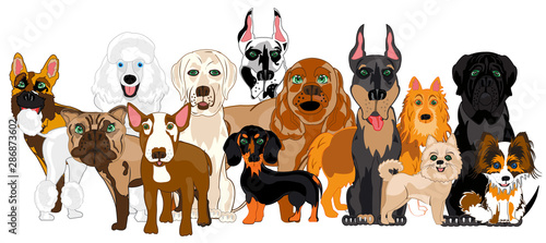 Vector illustration of the group of the dogs of the varied sorts