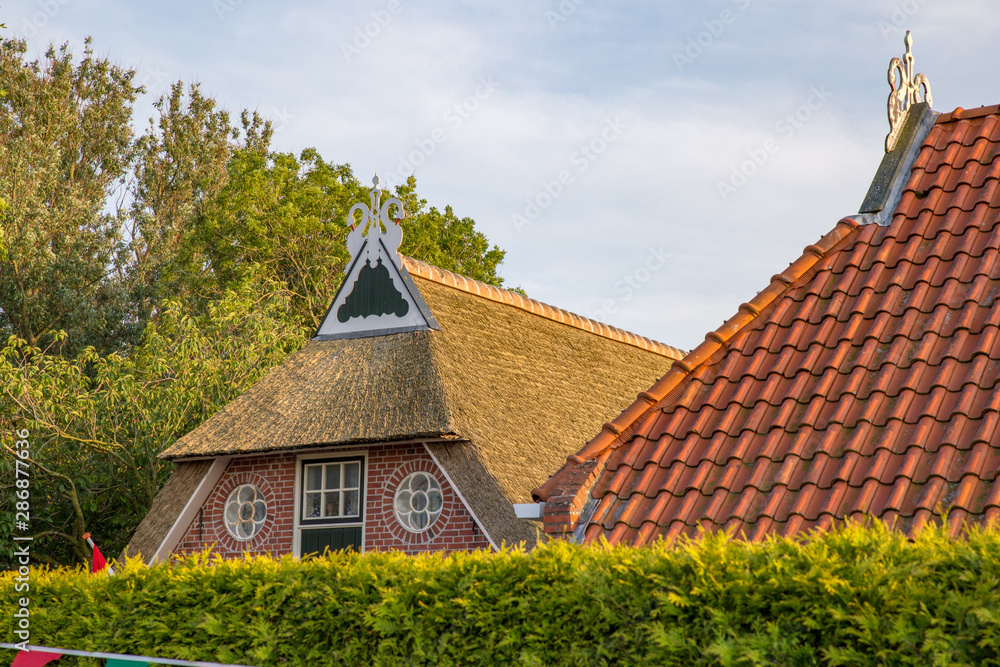 Fototapeta premium Reetdach mit Giebelschmuck / Pferdeköpfe in Friesland