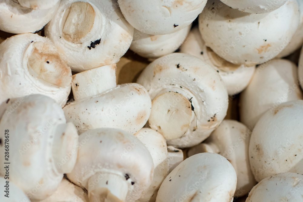 Fresh button mushrooms piled on the market. Food backgroumd. Harvest Fresh button mushrooms piled on the market. Food backgroumd. Harvest