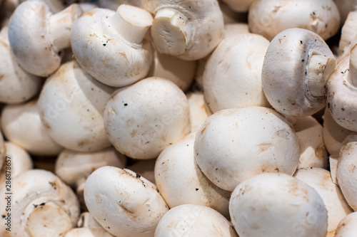 Fresh button mushrooms piled on the market. Food backgroumd. Harvest
