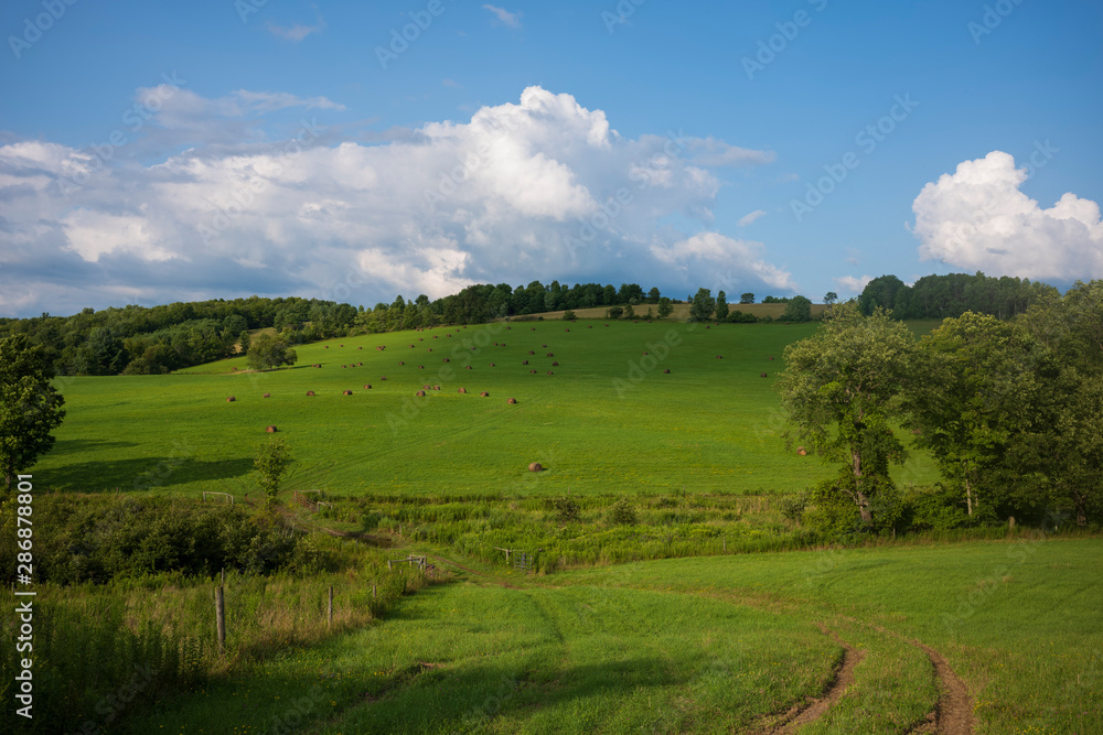 A hilly meadow with hay bales, blue skies with Cumulus clouds and a dirt road in upstate New York on a summer day.  