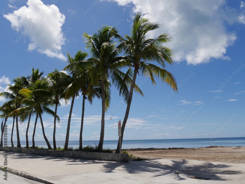 Wide stretch of beaches with coconut trees along S Roosevelt Boulevard, Key West, Florida. Wide stretch of beaches with coconut trees along S Roosevelt Boulevard, Key West, Florida.