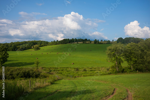 A hilly meadow with hay bales, blue skies with Cumulus clouds and a dirt road in upstate New York on a summer day. 