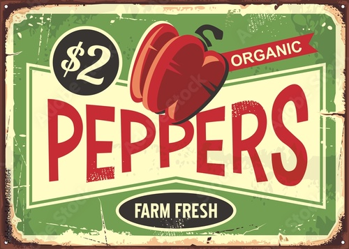 Red peppers vintage metal old sign for farm fresh vegetables. Organic product retro poster. Vector paprika illustration on green background.