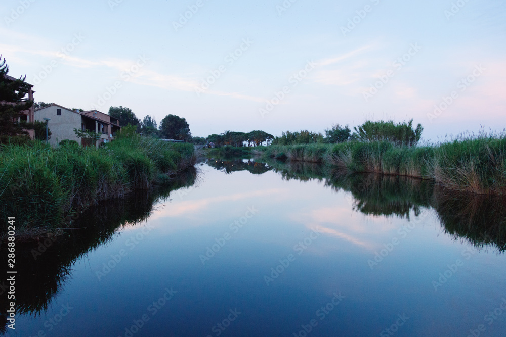Dusk in Ghisonaccia, Corsica. Reflections of reeds in the water