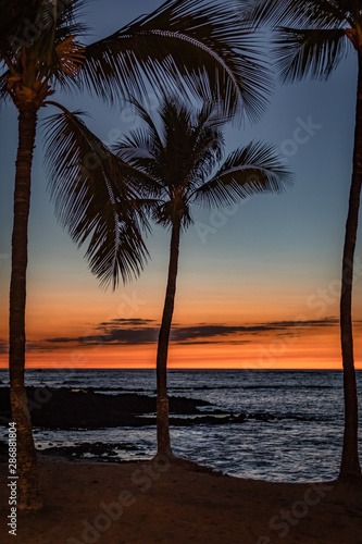 Palm trees silhouette a deep orange island sunset