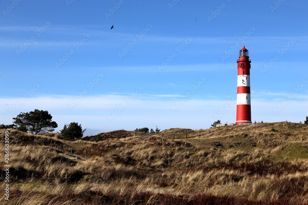Amrum lighthouse North frisian islands