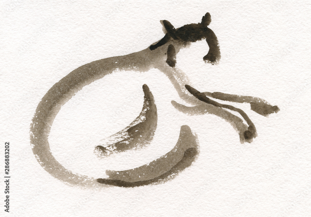 Obraz premium Sketch of a cat in watercolor