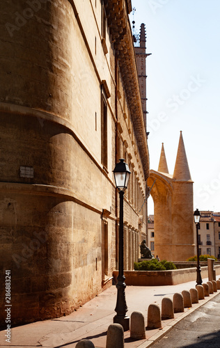 cathédrale de montpellier le jour