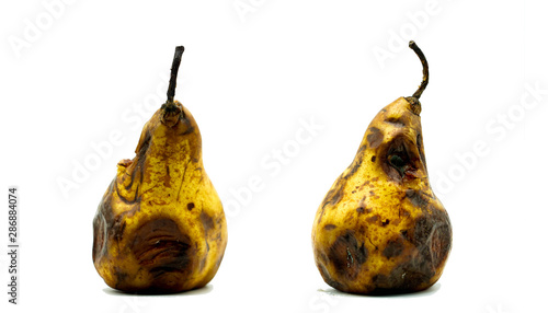 Fotografie Rotten decay pear isolated on white background