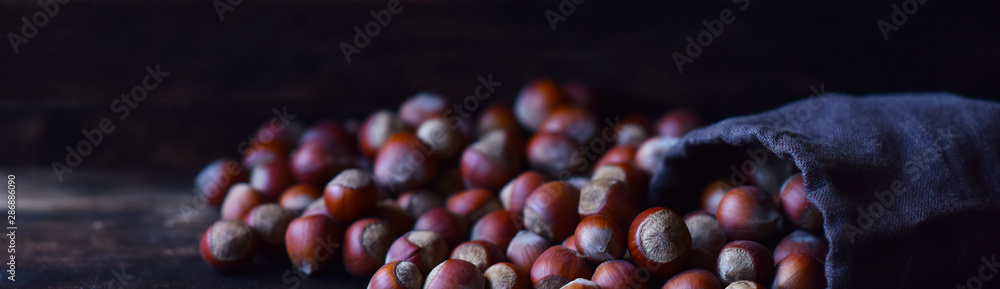 hazelnuts hazelnuts are a large number of hazelnuts hazelnuts are a large number of