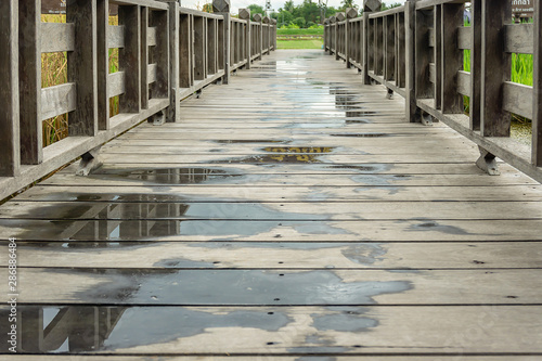 Wooden bridge after rain on rice fields.