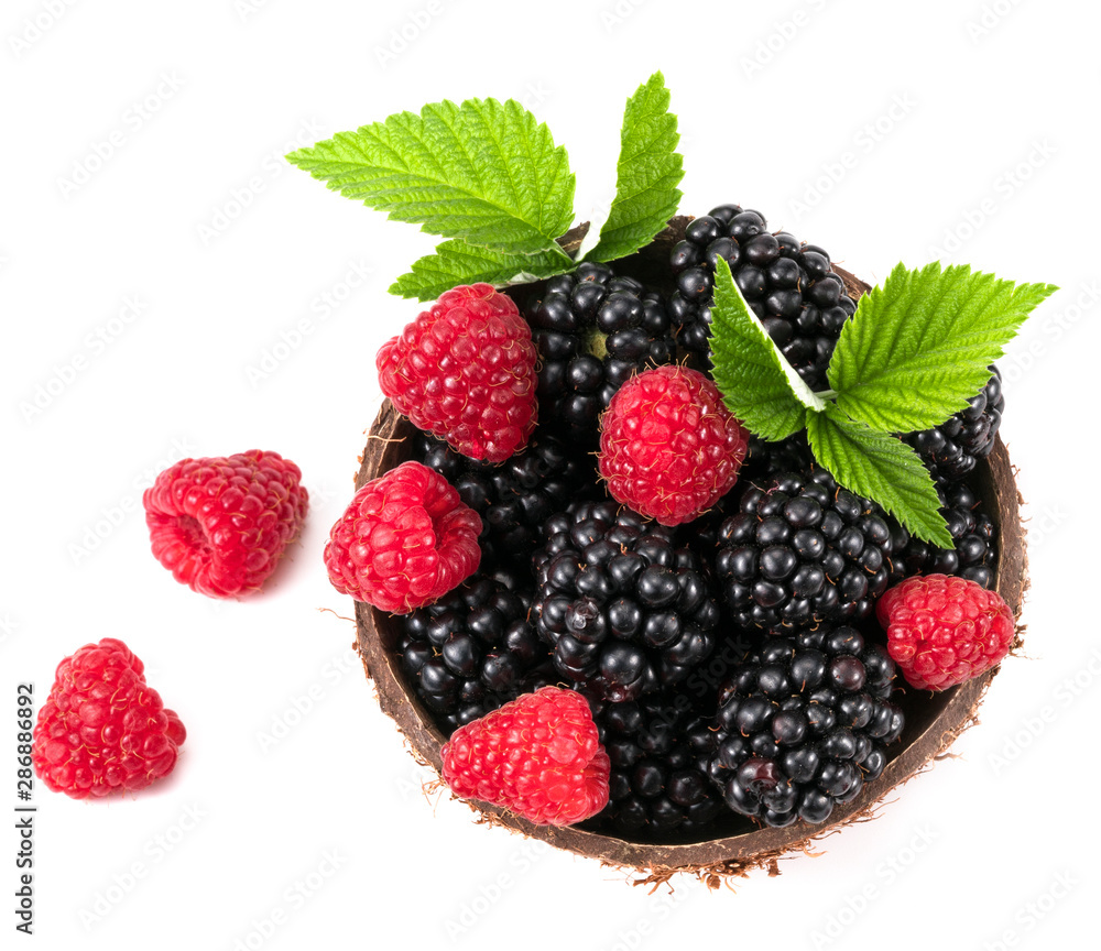 Blackberry and raspberry. On white background Blackberry and raspberry. On white background