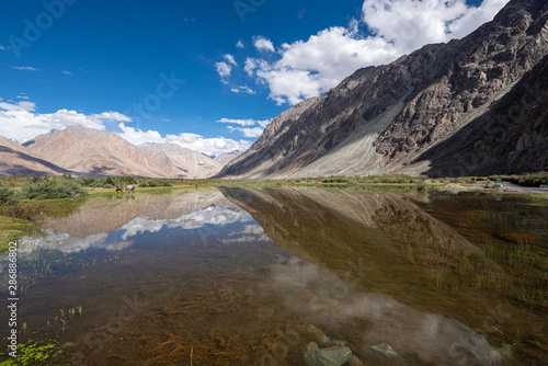 Natural Pool in Nubra Valley  India