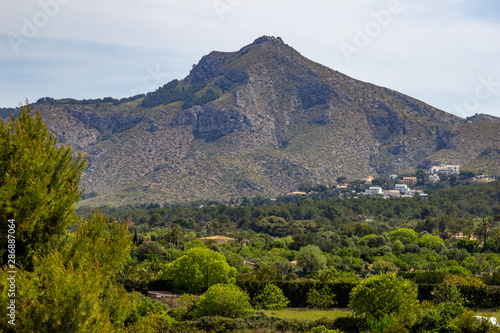 Scenic view on landscape near Alcudia on balearic island Mallorca with mountain range in background and green trees in front