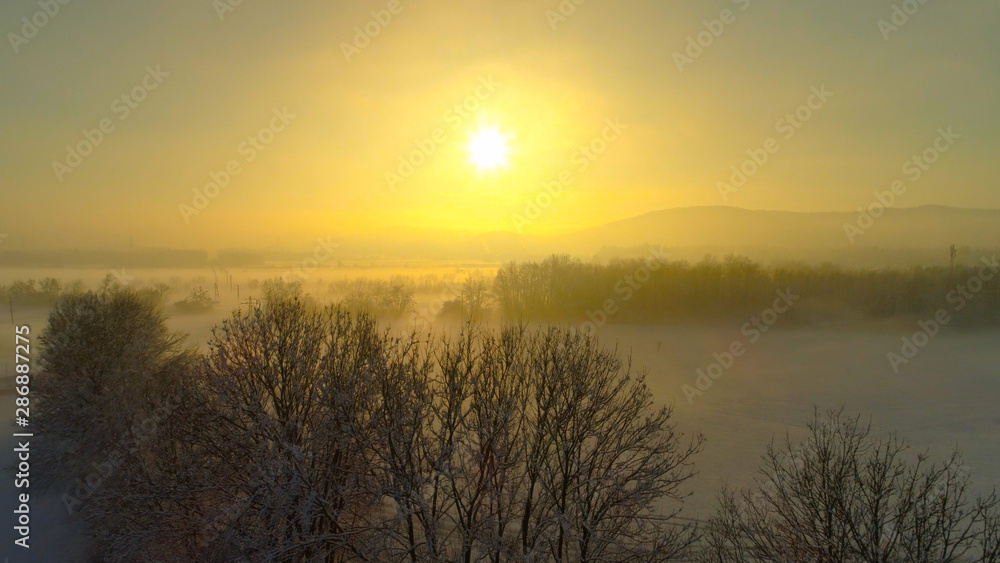 AERIAL: Flying over misty bare trees and snowy fields at magical winter sunrise