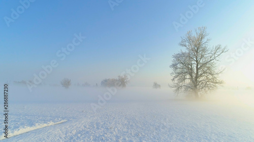 AERIAL: Flying low over foggy farmland covered in snow on sunny winter morning © helivideo