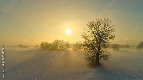 AERIAL: Rising above misty winter landscape on magical winter morning at sunrise © helivideo