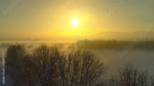 AERIAL  Flying over misty bare trees and snowy fields at magical winter sunrise