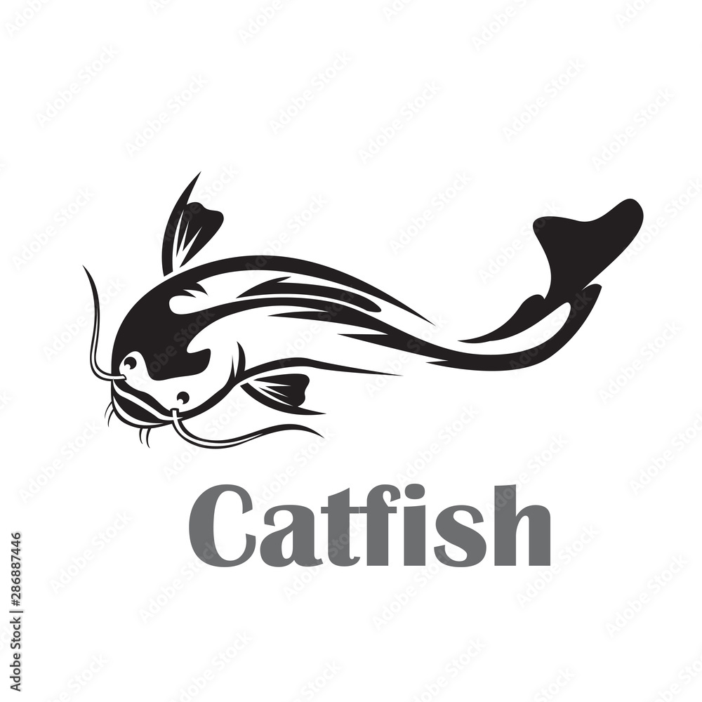 Swimming drawing art catfish logo design template inspiration