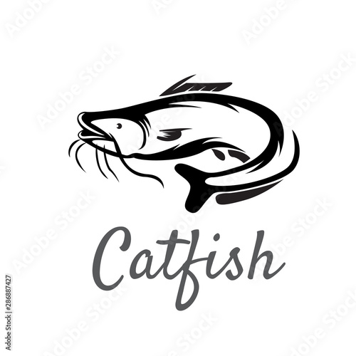 drawing art vector catfish logo template design inspiration