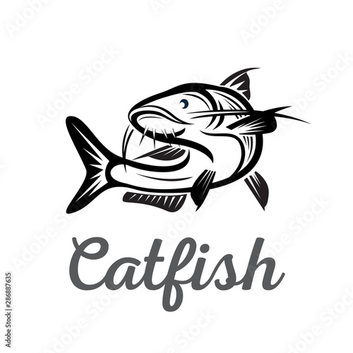 Catfish elegant drawing art logo design template inspiration