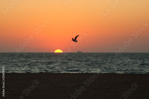 Anochecer en la playa, Costa Ballena, Cádiz