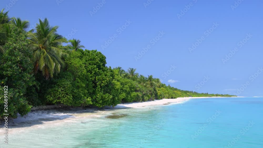 Perfect wild island with palm trees, nobody, travel destinations. Summer vacations Perfect wild island with palm trees, nobody, travel destinations. Summer vacations