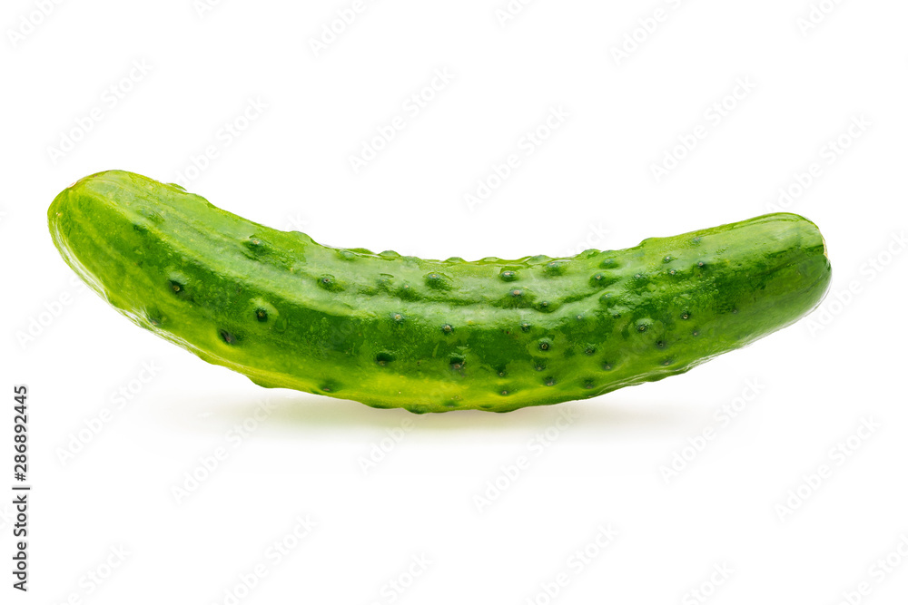 Cucumber, whole, raw and fresh with drops of water. Isolated on white background Cucumber, whole, raw and fresh with drops of water. Isolated on white background