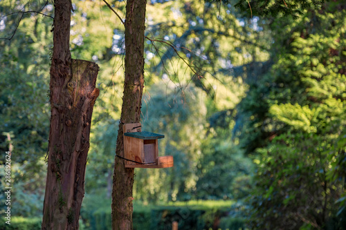 Vogelhaus an einem Baumstamm im Freien