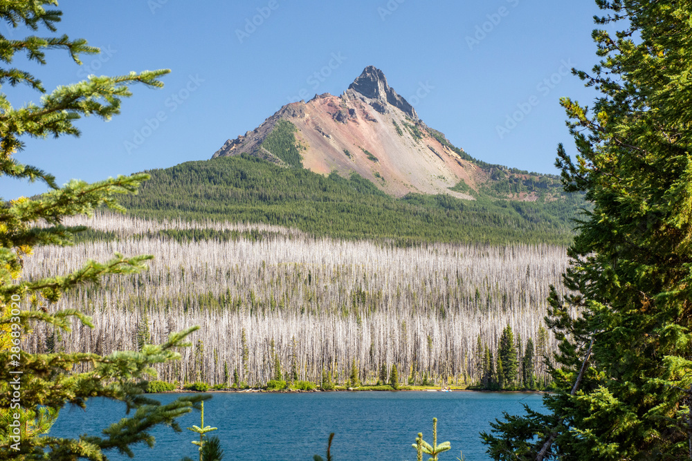 Looking through trees at Oregonâ€™s Mt. Washington, a volcano in the Cascade Range, on a clear, blue-sky day. Big Lake and surrounding forest in foreground