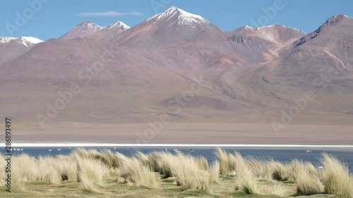 Lake in Andes with snow capped mountain on the horizon. Altiplano, Bolivia photo