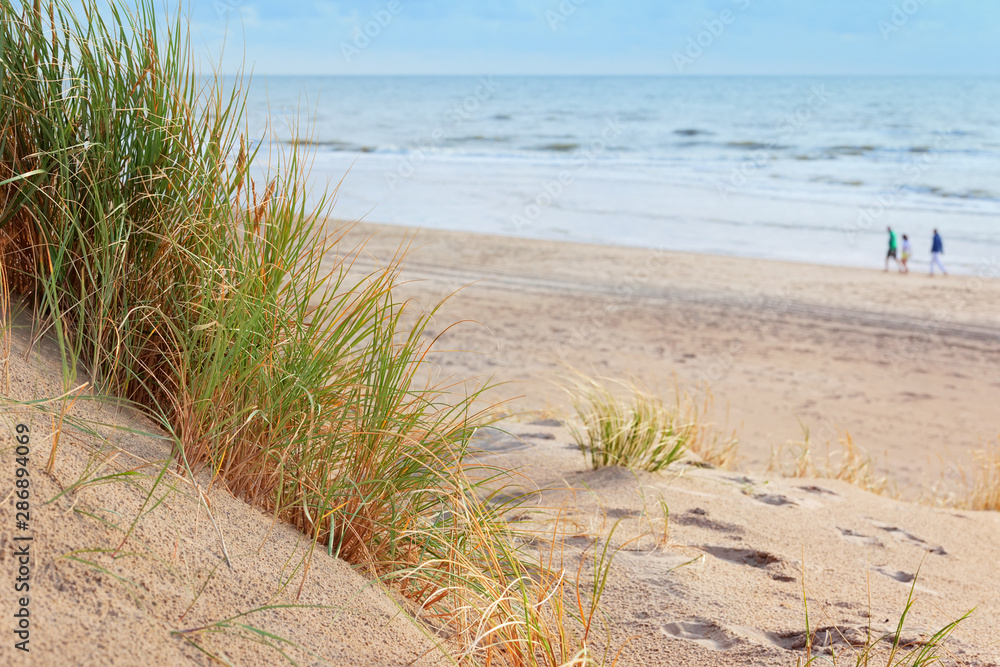 Grasbewachsene Düne mit Blick aufs Meer Grasbewachsene Düne mit Blick aufs Meer