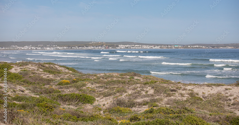 walk on the sunny beach, near Paternoster, Western Cape walk on the sunny beach, near Paternoster, Western Cape